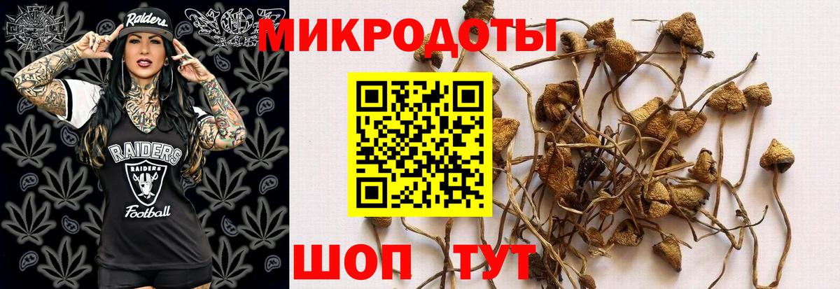 Галлюциногенные грибы ЛСД  Галлюциногенные грибы GOLDEN TEACHER  Вход с VPN  Тверь 